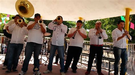 Banda Paloma-popurri paloma (paloma mexican music band) cel-6871176144- mexican brass band-brass ...