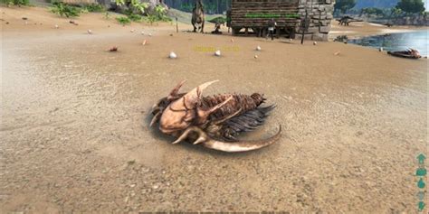 How To Get Chitin In Ark Survival Evolved