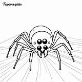 Trapdoor Spider coloring Page And Outline Vector Design  Premium AI sketch template