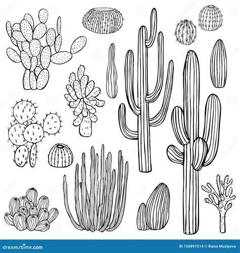 Desert Plants Neon Light Icons Set Cartoon Vector | CartoonDealer.com ...