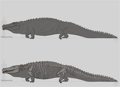 Deinosuchus by IKumoArtI on DeviantArt