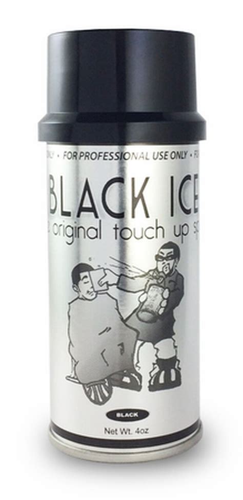 BLACK ICE TOUCH UP SPRAY