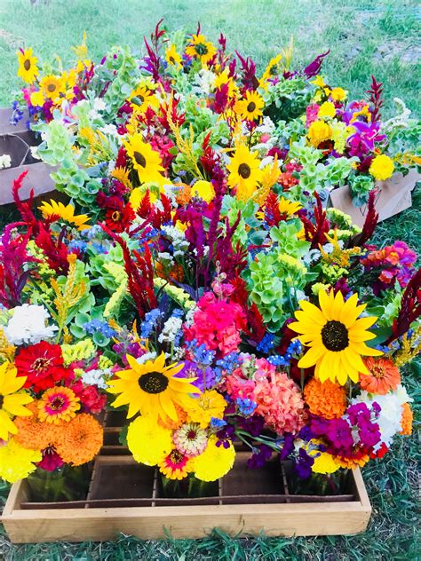 Farmers Market Bouquets « Adobe House Farm