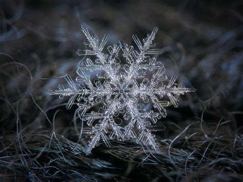 Real snowflake | Real snowflake macro photo. Ideas for home … | Flickr