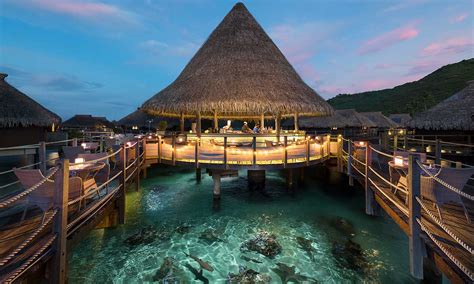 Hilton Moorea Lagoon Resort and Spa | Tahiti.com