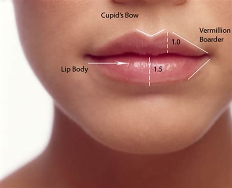 Lip Fillers 101: What You Should Know Before Getting Lip Fillers