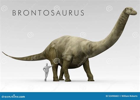 Argentinosaurus Vs Brontosaurus