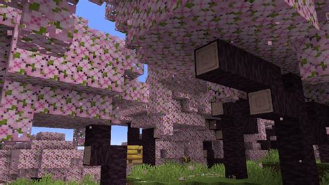 Experience the Pink Magic: Minecraft's Cherry Blossom Biome