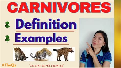 Carnivore Examples