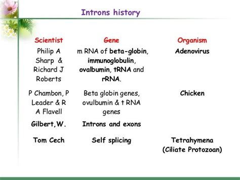 Introns: structure and functions