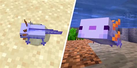 Manga How To Spawn a Blue Axolotl in Every Minecraft Version 🍀 ...