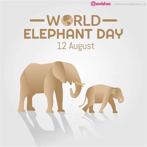 World Elephant Day 2023: Top Quotes and Wishes – We Wishes