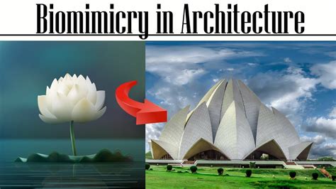 Biomimicry in Architecture - YouTube