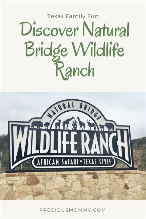 Natural Bridge Wildlife Ranch – Precious Mommy