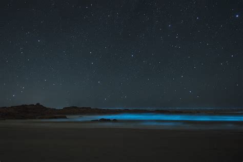 The night sky with stars above the ocean photo – Free Uruguay Image on ...