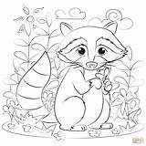Coloring Pages Raccoon Printable For sketch template