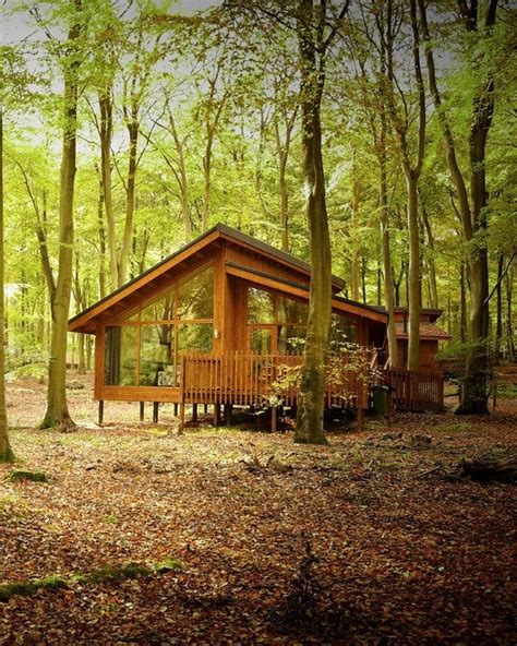 Forest Holidays, Blackwood, cabin review | delicious. magazine