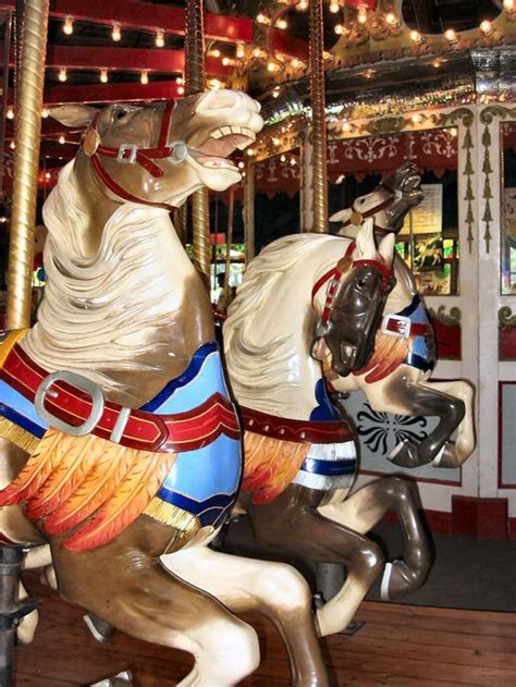 Bushnell Park Carousel Stein & Goldstein Horses © Chris K Benson | Carousel horses, Carosel ...