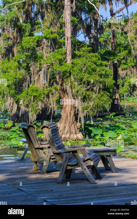 Caddo lake, Texas, USA Stock Photo - Alamy