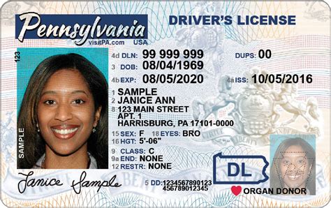 Aamva Driver License Barcode - infinitypoo