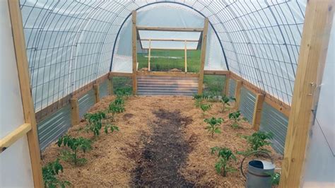 How to build a cattle panel greenhouse