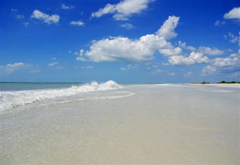 Honeymoon Island State Park - Florida RV Trade AssociationFlorida RV Trade Association