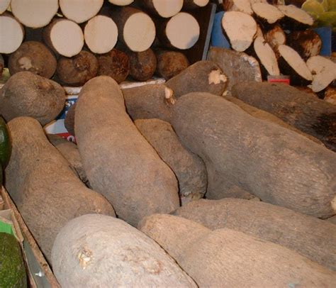 FG To Investigate Poor Quality Of Yams Exported To U.S.