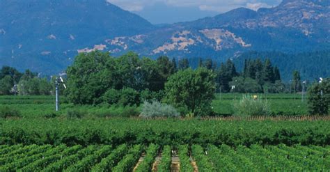 10 best wineries to visit near Calistoga | Winetourism.com