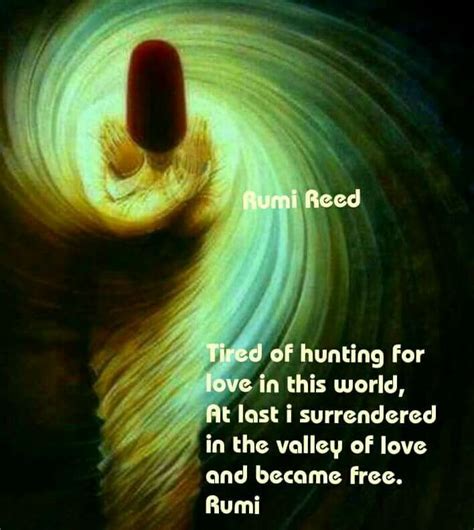 Pin by Rumi Reed on RumiReed | Rumi quotes, Sufi poetry, Rumi