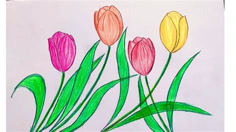 Vẽ hoa tulip đẹp và đơn giản | Cách vẽ hoa tulip | How to draw easy beautiful tulip flower ...