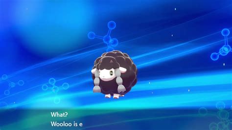 Pokemon Shield : Shiny Dubwool - YouTube