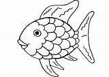 Rainbow Trout Coloring Page At GetDrawings  Free Download sketch template