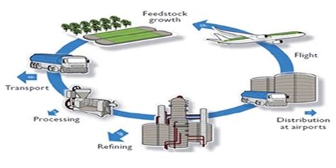 Sustainable Aviation Fuel - Assignment Point