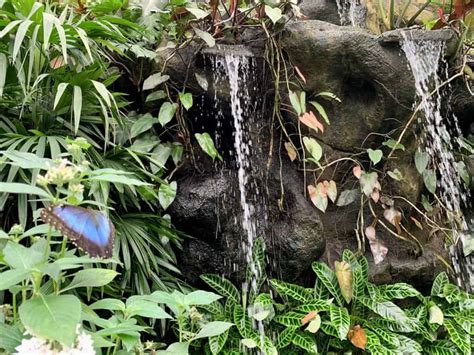 The STUNNING La Paz Waterfall Gardens | Complete Guide & Map