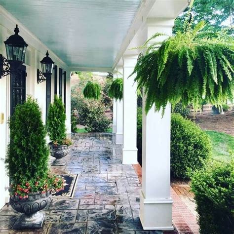 5 Tips for Front Porch Ferns | Fairview Garden Center | Porch landscaping, Front porch garden ...