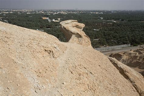 View from the top of Al Qara mountain with date palm oasis in the background | Al Qara mountain ...