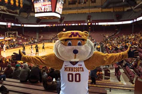 Gopher Athletics | University of Minnesota