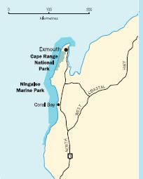 Ningaloo and Exmouth | MARINE LIFE NETWORK