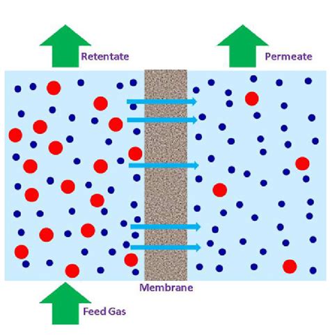 Schematic of gas separation membrane. | Download Scientific Diagram