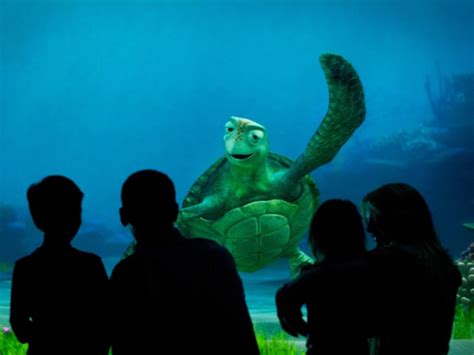 Finding Nemo- Turtle Scene | atelier-yuwa.ciao.jp