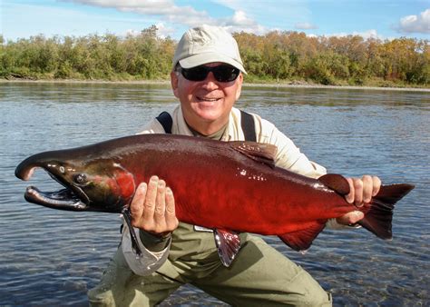 Alaska Fishing Season Chart: Bristol Bay Alaska Trout & Salmon Fishing Seasons