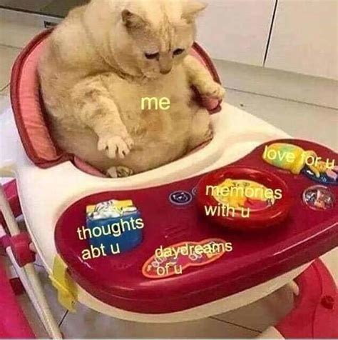 can i get some uhhhhh love and affection | /r/wholesomememes | Wholesome Memes | Know Your Meme