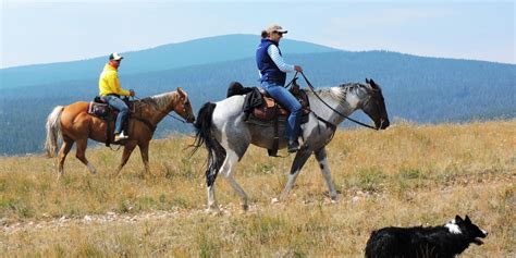 Bonanza Creek Country Guest Ranch (Martinsdale, MT): What to Know BEFORE You Bring Your Family