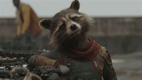 20 Greatest Rocket Raccoon Quotes from Movies & Comics