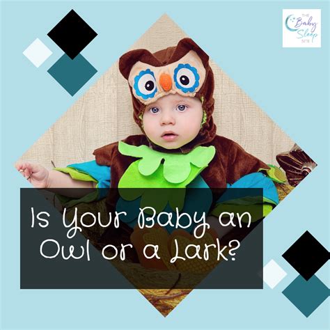 Owl or Lark: Which Is Your Baby? | Schedules | The Baby Sleep Site