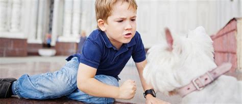 Is it normal for your preschooler to hurt animals? | GreatSchools.org