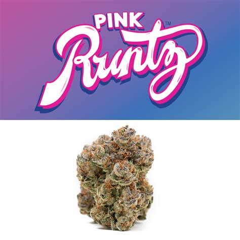 Pink Runtz | Runtz - Jane