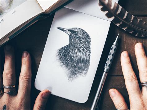 17 Drawing Techniques to Draw and Sketch like a Pro