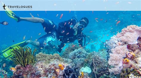 What Makes Sipadan the Best Dive Site in Malaysia? - Travelogues from Remote Lands