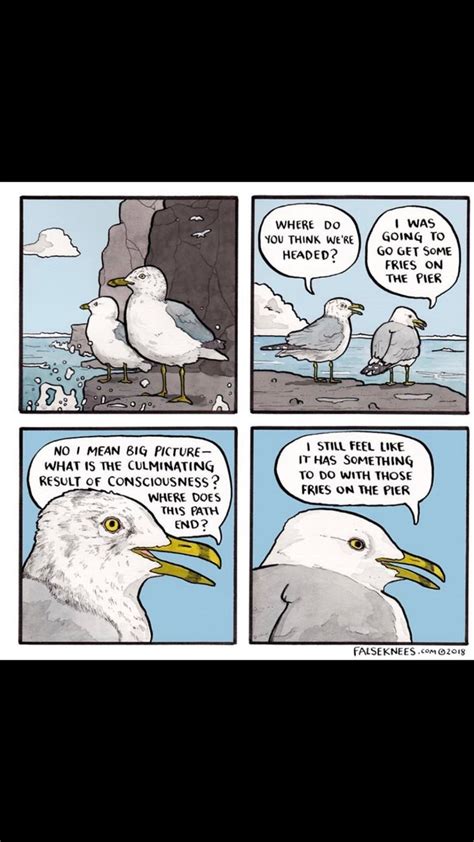 Seagulls - Meme subido por Spike_Sword :) Memedroid